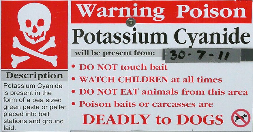 Potassium cyanide