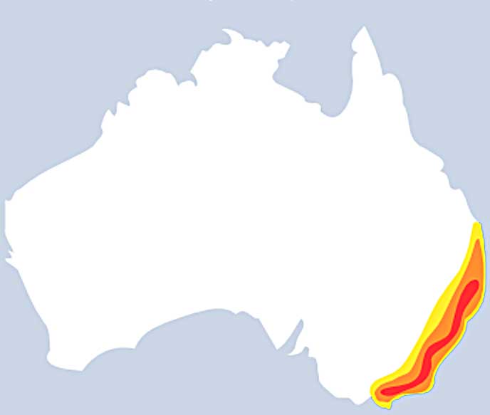 Sydney funnel web distribution map