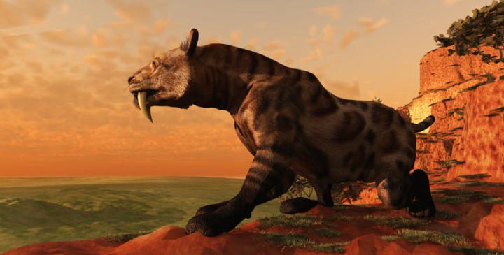 Smilodon - the biggest tiger of all time