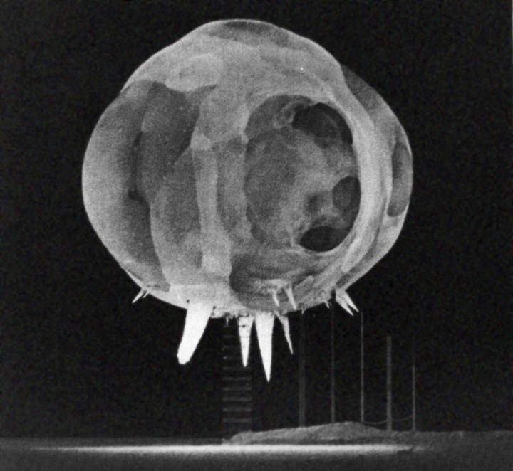 Birth of a nuclear explosion